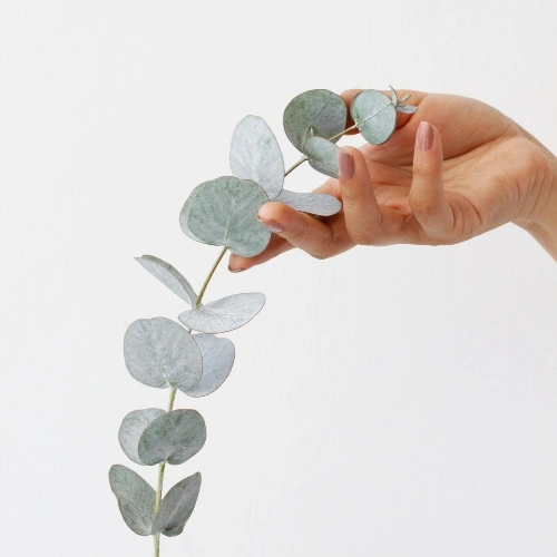 soporte tecnico y mantenimiento web para que todo funcione bien